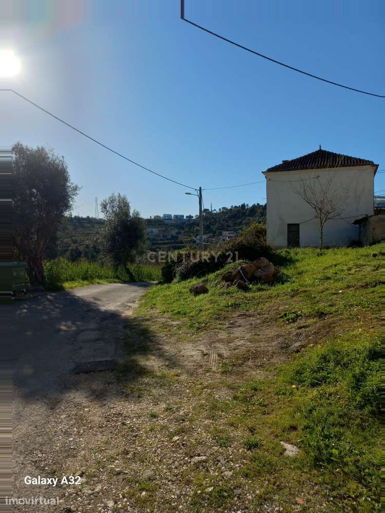 Loja de Mercearia para trespasse - Oportunidade Única - Grande imagem: 3/6