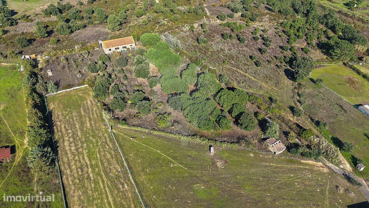 Terreno  para venda-4