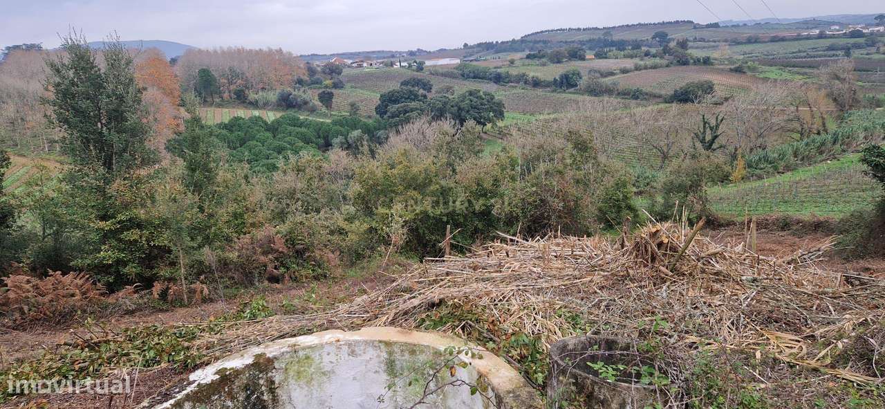 Terreno Rústico em Serradinho com Paisagem Deslumbrante - Grande imagem: 2/12