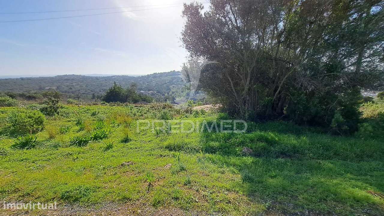 Terreno rústico com 12.200m2 - Messines - Grande imagem: 5/19