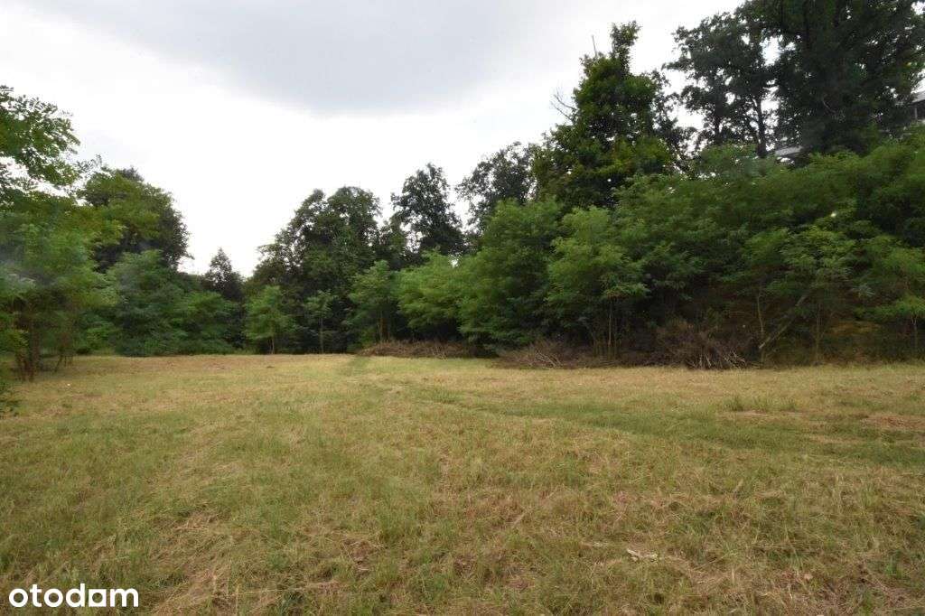 Działka budowlana - Nysa ul. Berberysowa - Pełny obrazek: 4/12