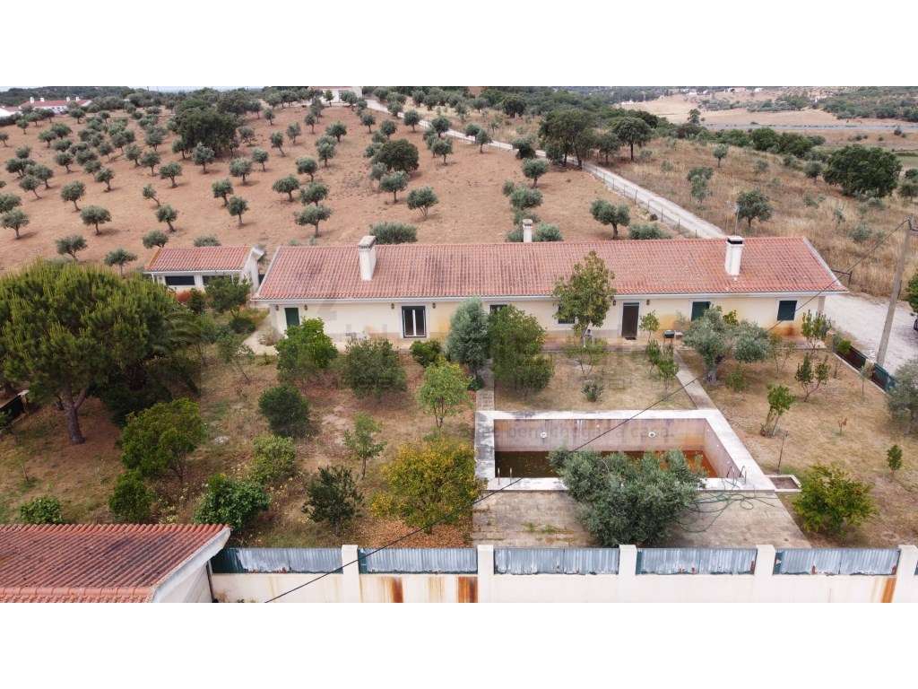 Excelente Monte em Estremoz - Grande imagem: 4/27