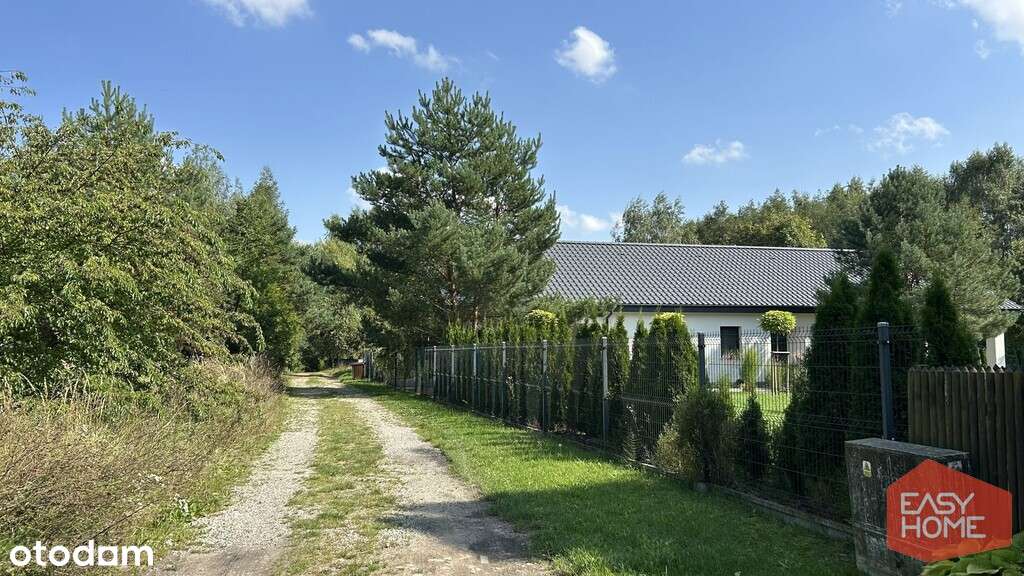 Cudowne miejsce w pobliżu jeziora i lasu-14