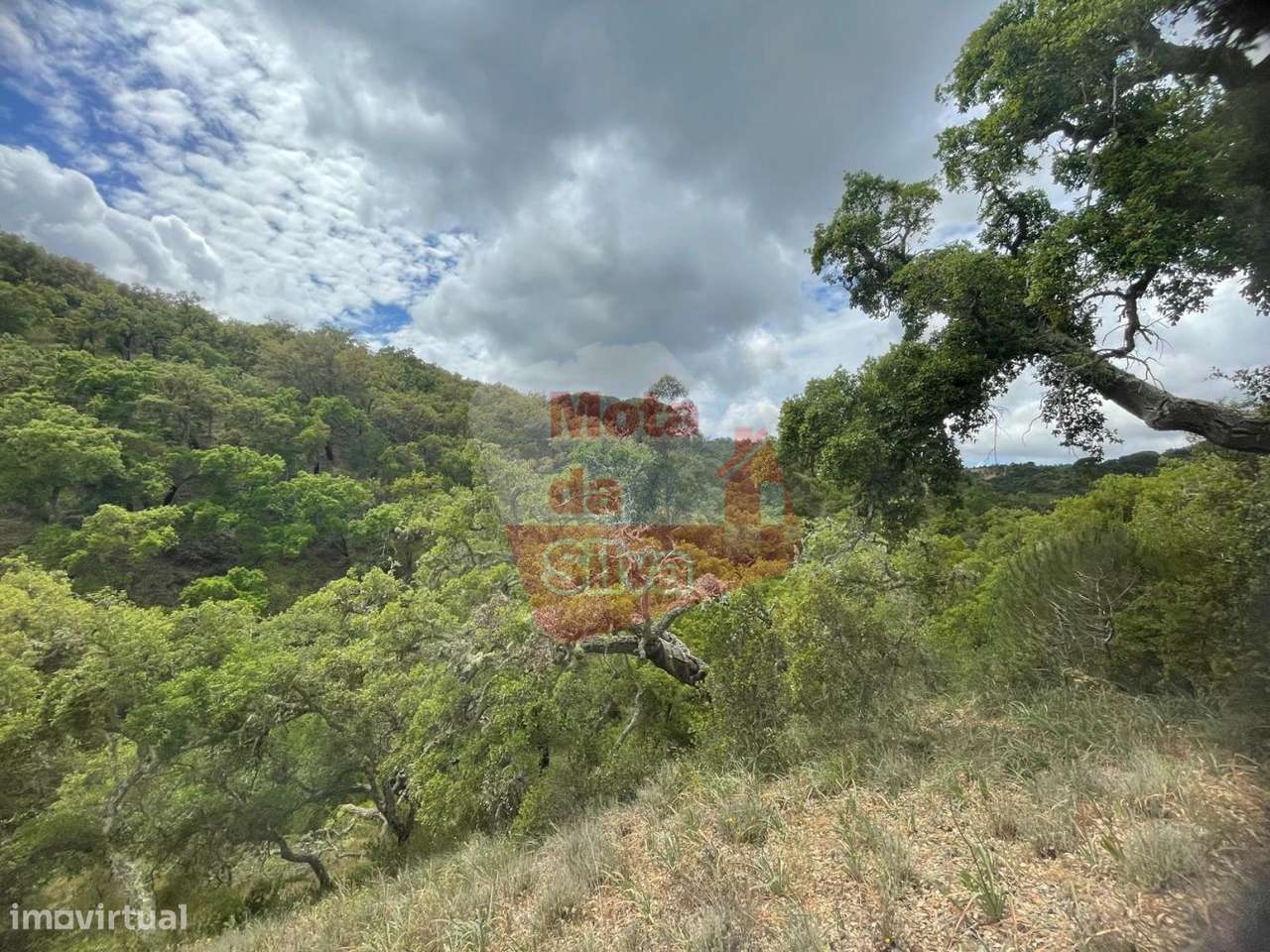 Terreno na aldeia de São Francisco da Serra-4