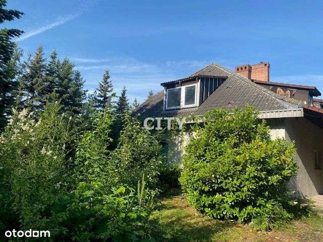 Dom wolnostojący/duży potencjał/ładny ogród - Pełny obrazek: 4/14