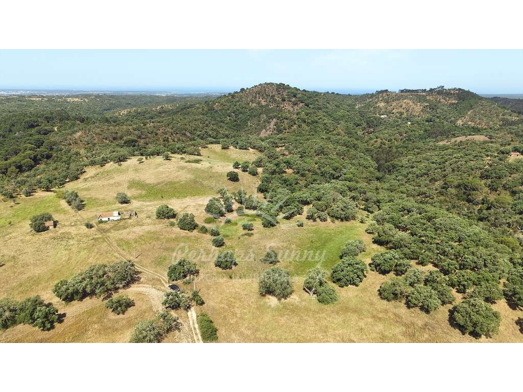 Terreno Misto para construção de Habitação ou Turismo - Melides-28