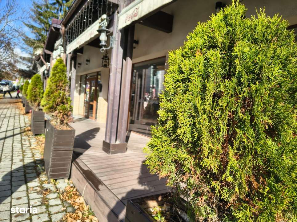 Proprietate mixta Spatiu comercial +rezidential Predeal, Brasov - Imagine principală: 4/19