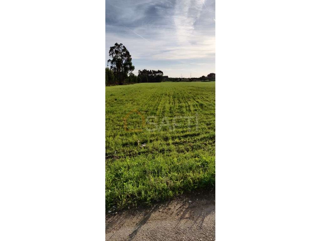 Terreno Rustico para Venda em ValeBarco. - Grande imagem: 4/5