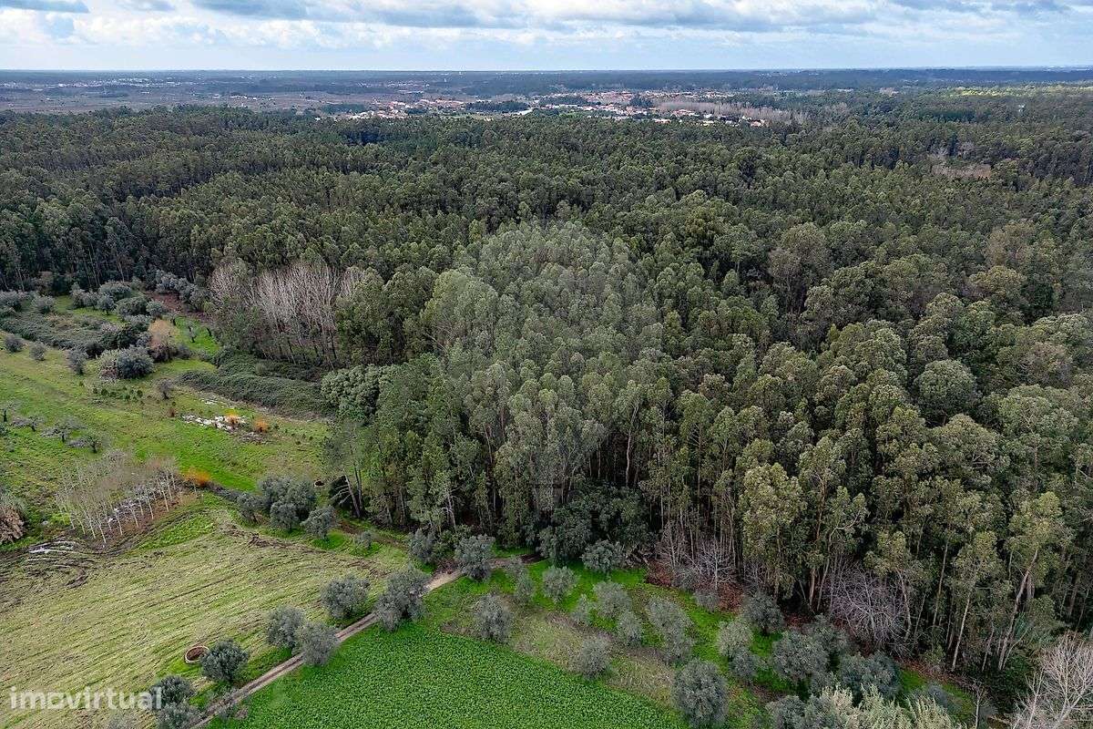 Terreno  para venda - Grande imagem: 4/14