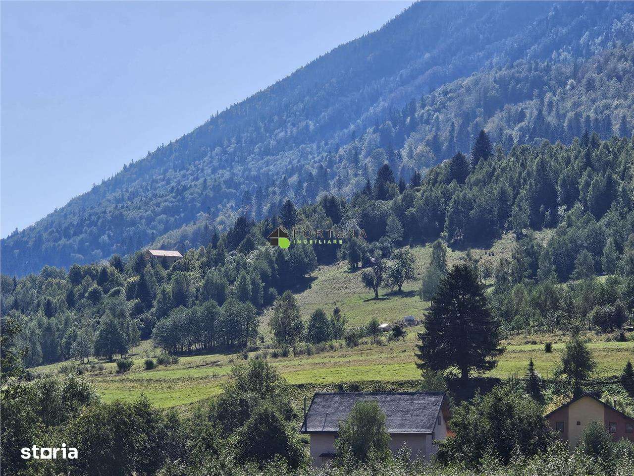 Teren intravilan, 21.000 mp, Zona Intre Barse, spre Plaiul Foii, Zarne-4