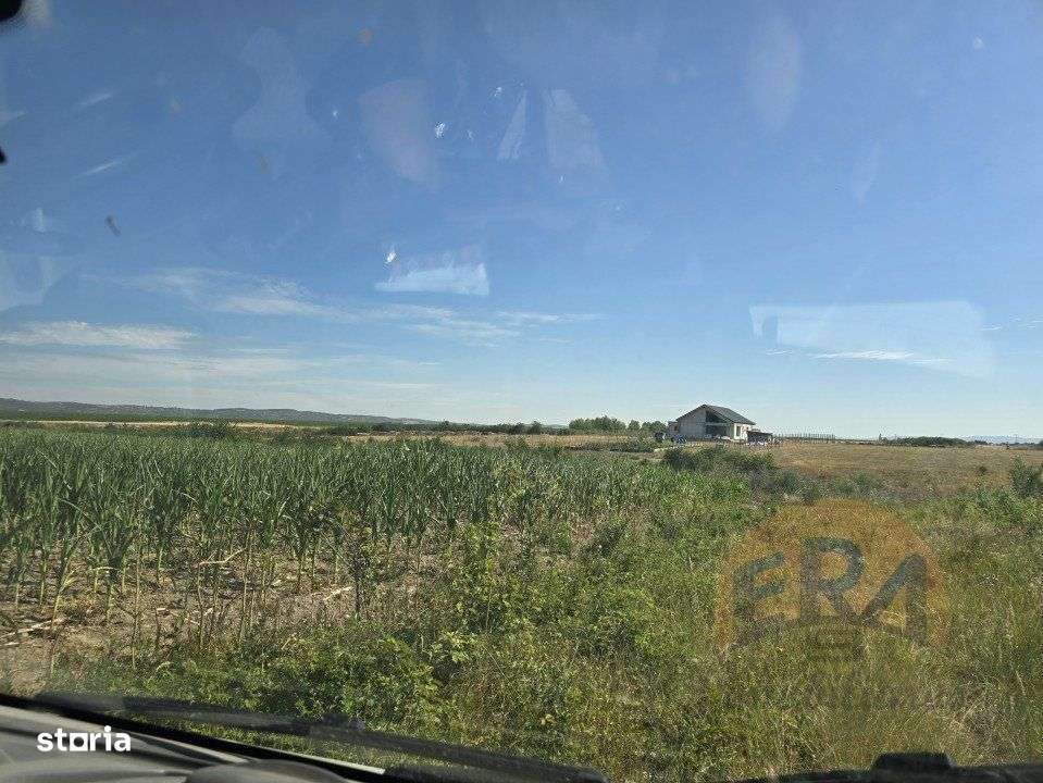 Oportunitate - Teren intravilan – 5972 mp – Rontau, Baile 1 Mai - Imagine principală: 4/5