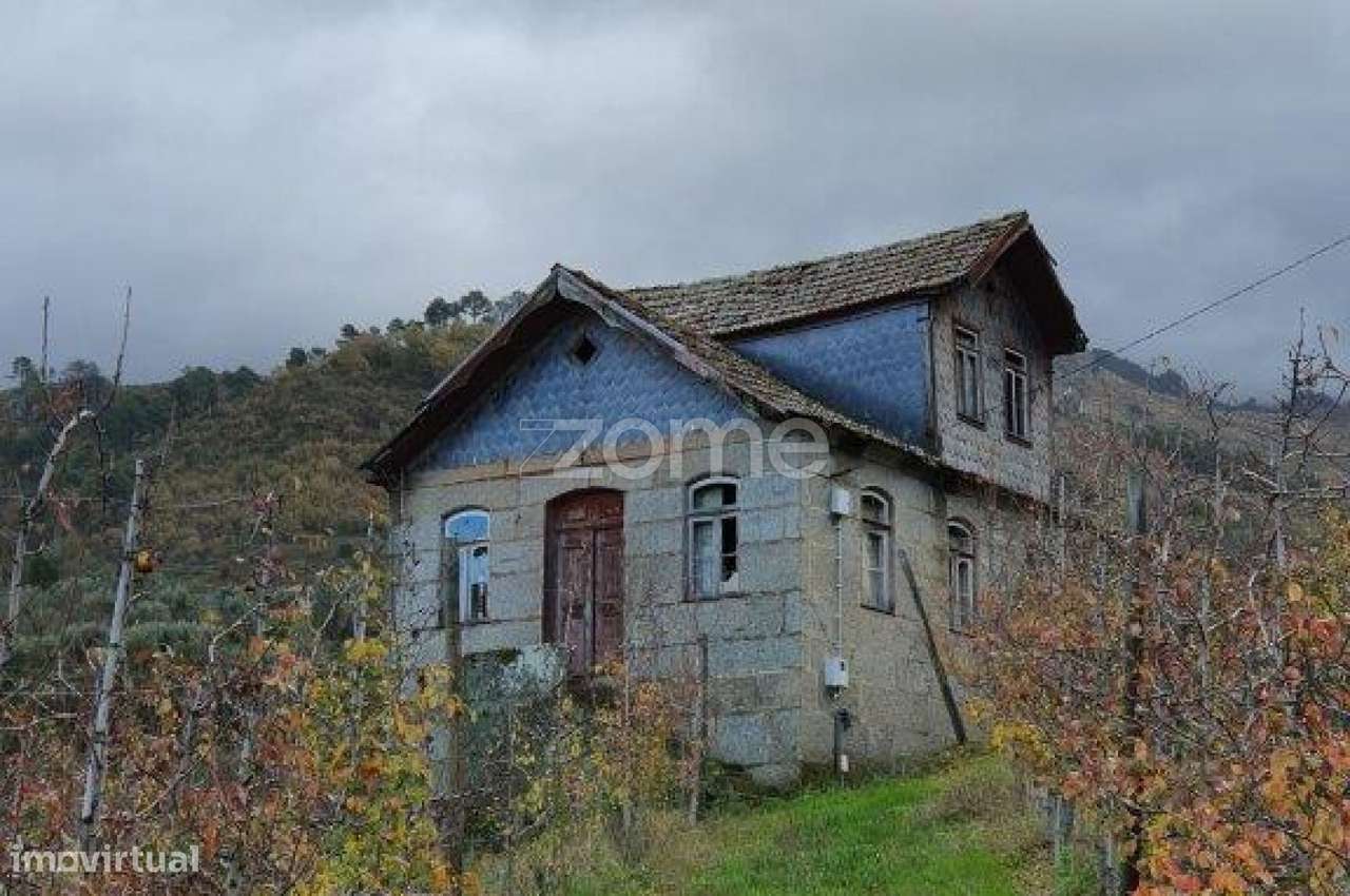 Quinta no Douro valley - Grande imagem: 5/20