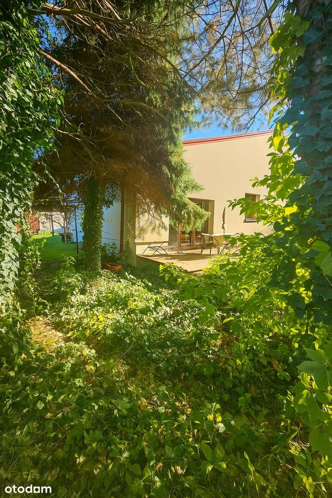 Dom z zabudową gospodarczą + poddasze | działka 3811 m² | 13 km od CPK - Pełny obrazek: 4/17