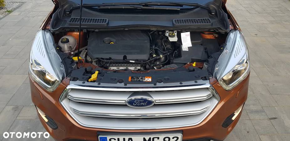 Ford Kuga 1.5 EcoBoost 2x4 Business Edition - 12