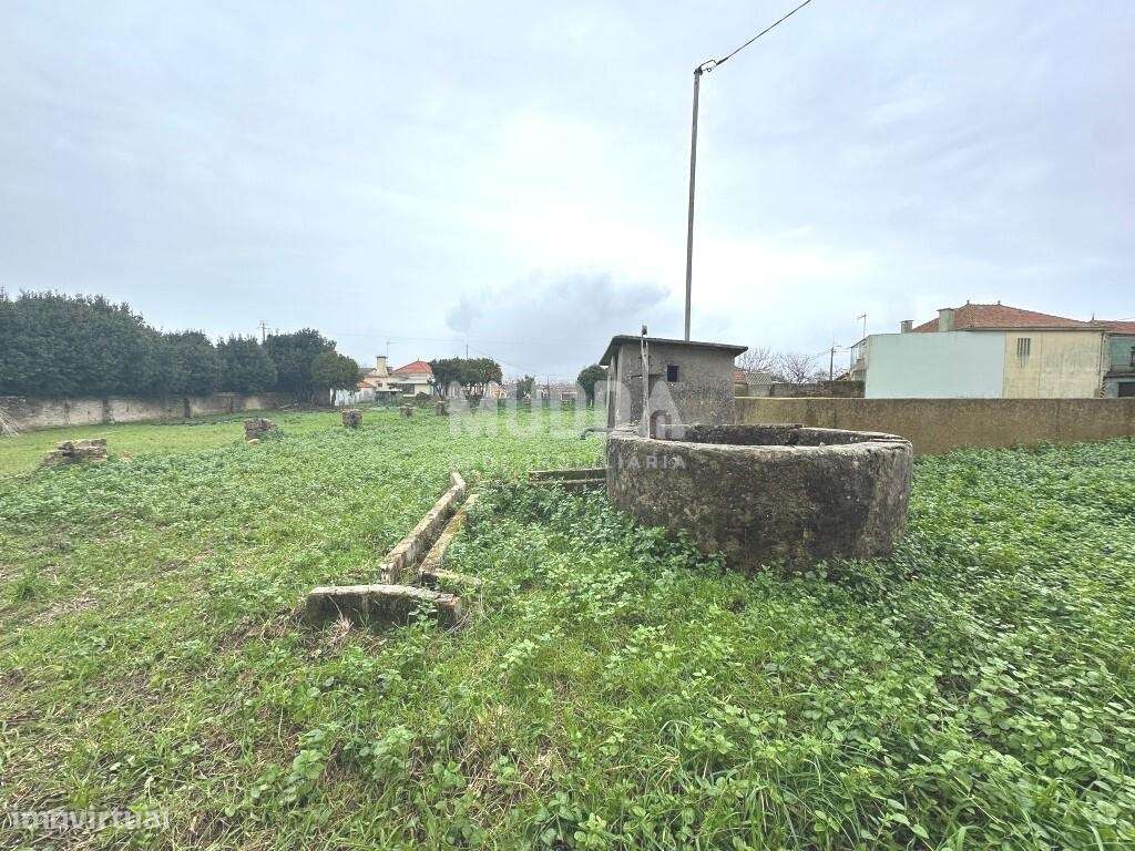 Terreno Rústico, com viabilidade de construção, Murtosa - Grande imagem: 3/8