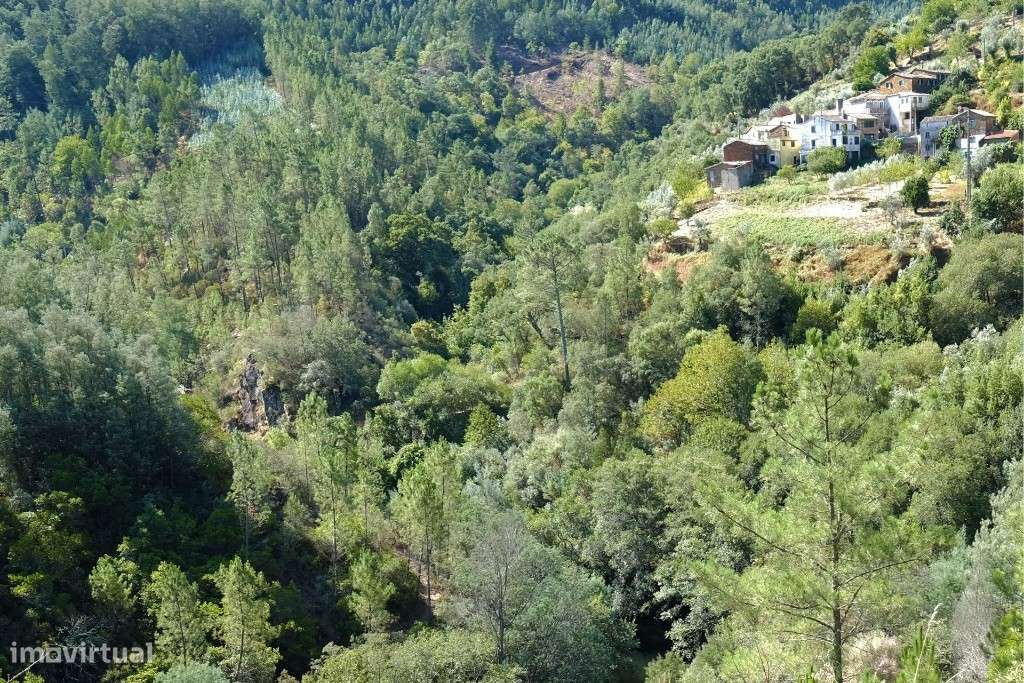 Terreno para construção,Ceira - Grande imagem: 3/9