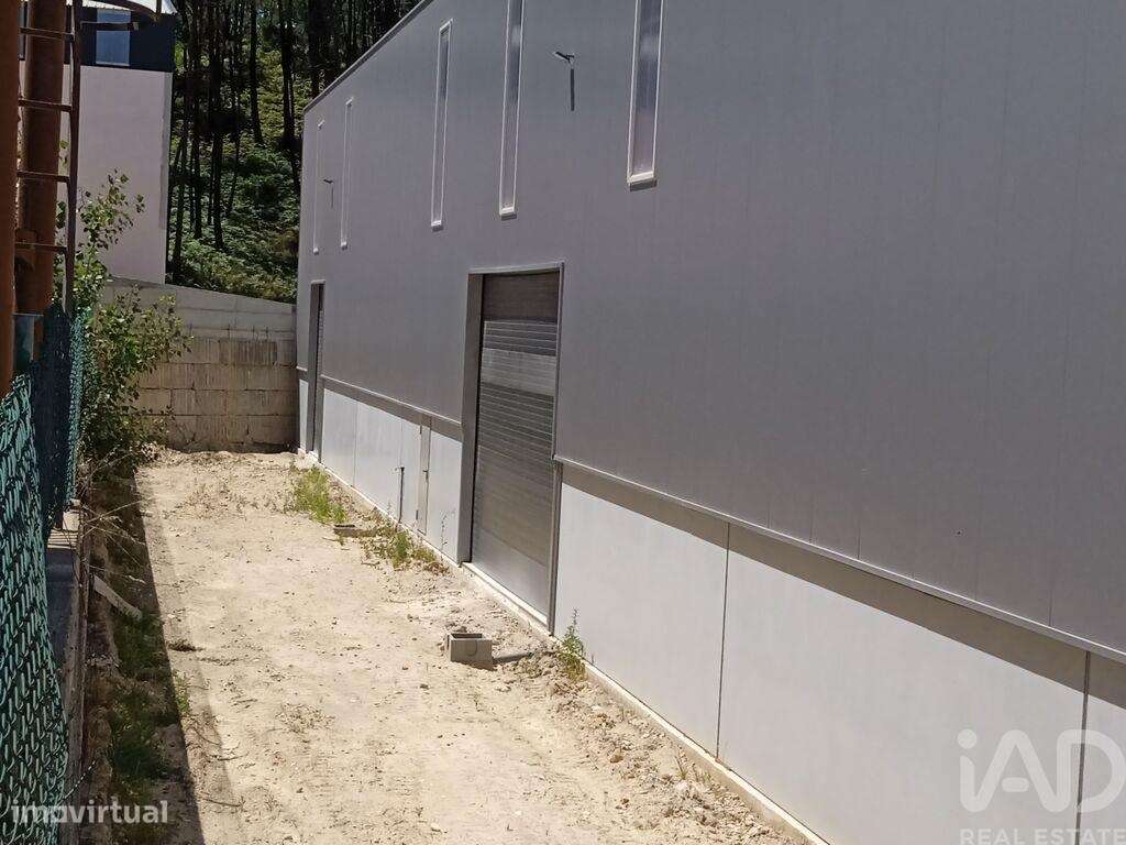 Comércio diverso em Matas e Cercal de 1052,00 m2 - Grande imagem: 4/11