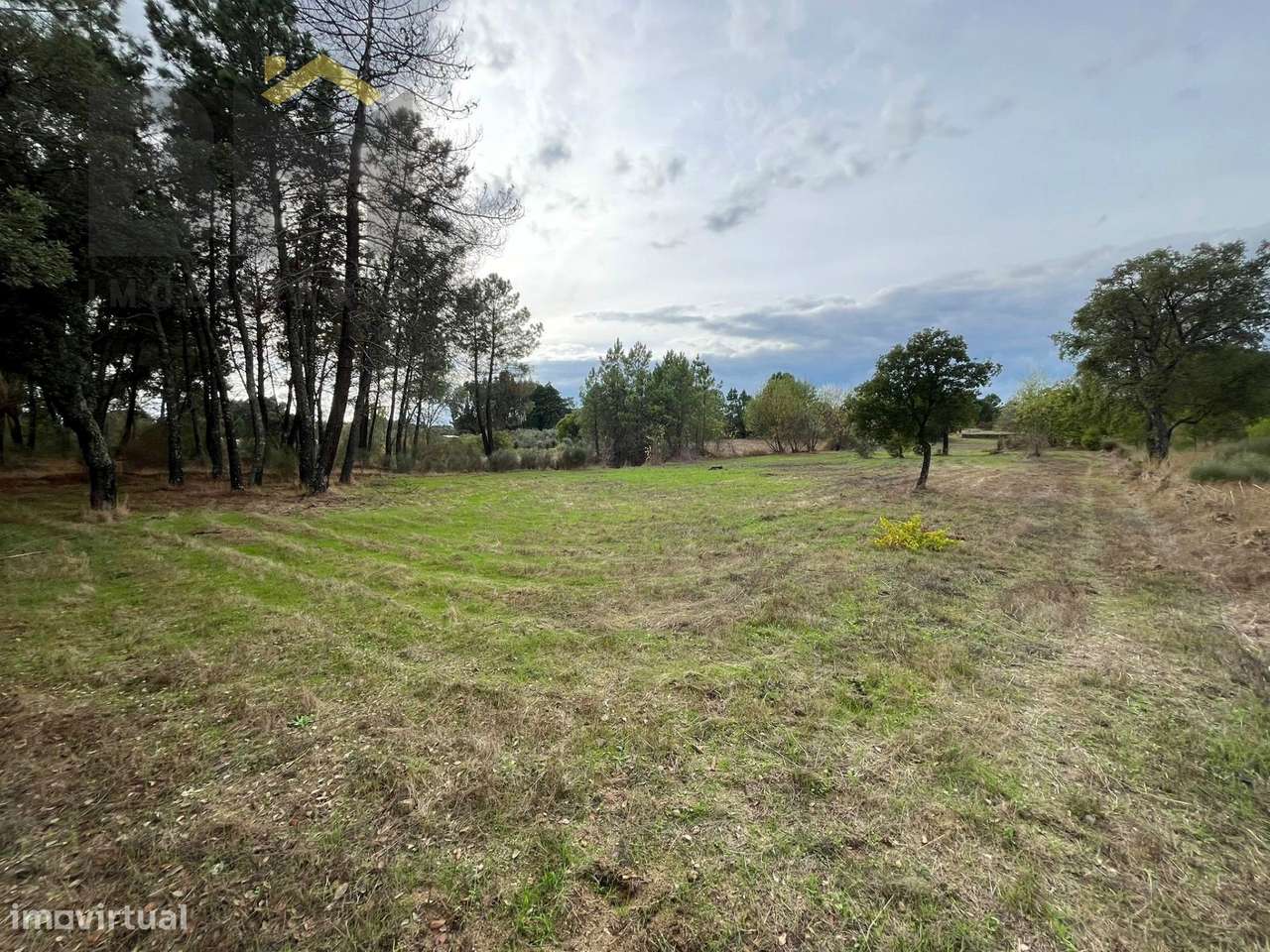 Quintinha  Venda em Póvoa de Rio de Moinhos e Cafede,Castelo Branco-7