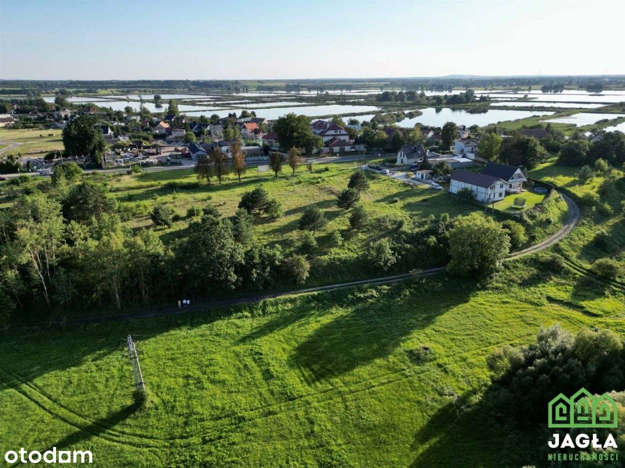 Działka w Występie w otoczeniu natury blisko drogi - Pełny obrazek: 5/13