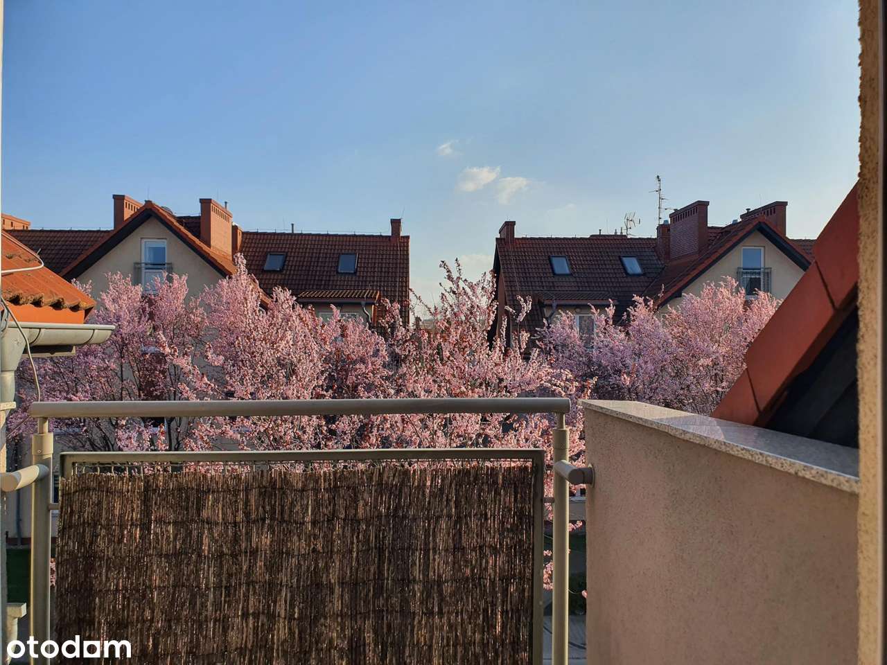 3 pokoje/ 3 balkony/ 2 poziomy/ Bielany Wrocławskie - Pełny obrazek: 3/9