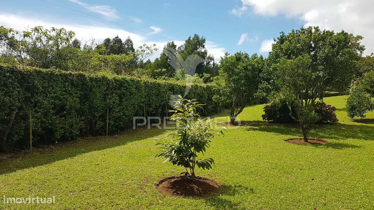 Refúgio Rural com Pomar e Casa de Apoio - Grande imagem: 5/18