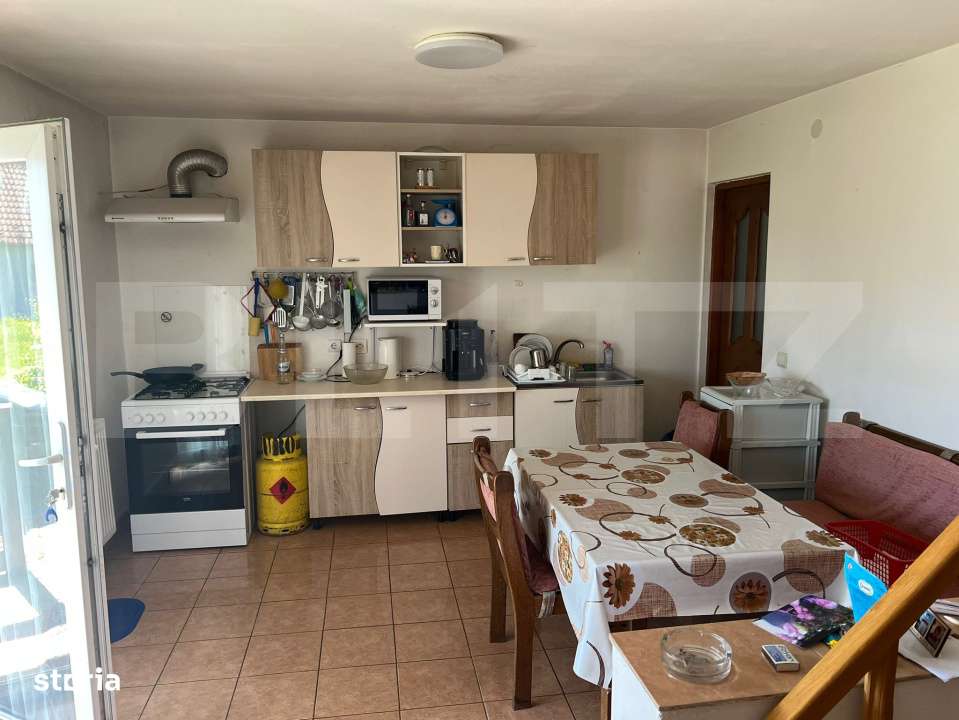 Casa 309 mp, teren 1083 mp, Rusii-Munti - Imagine principală: 5/9