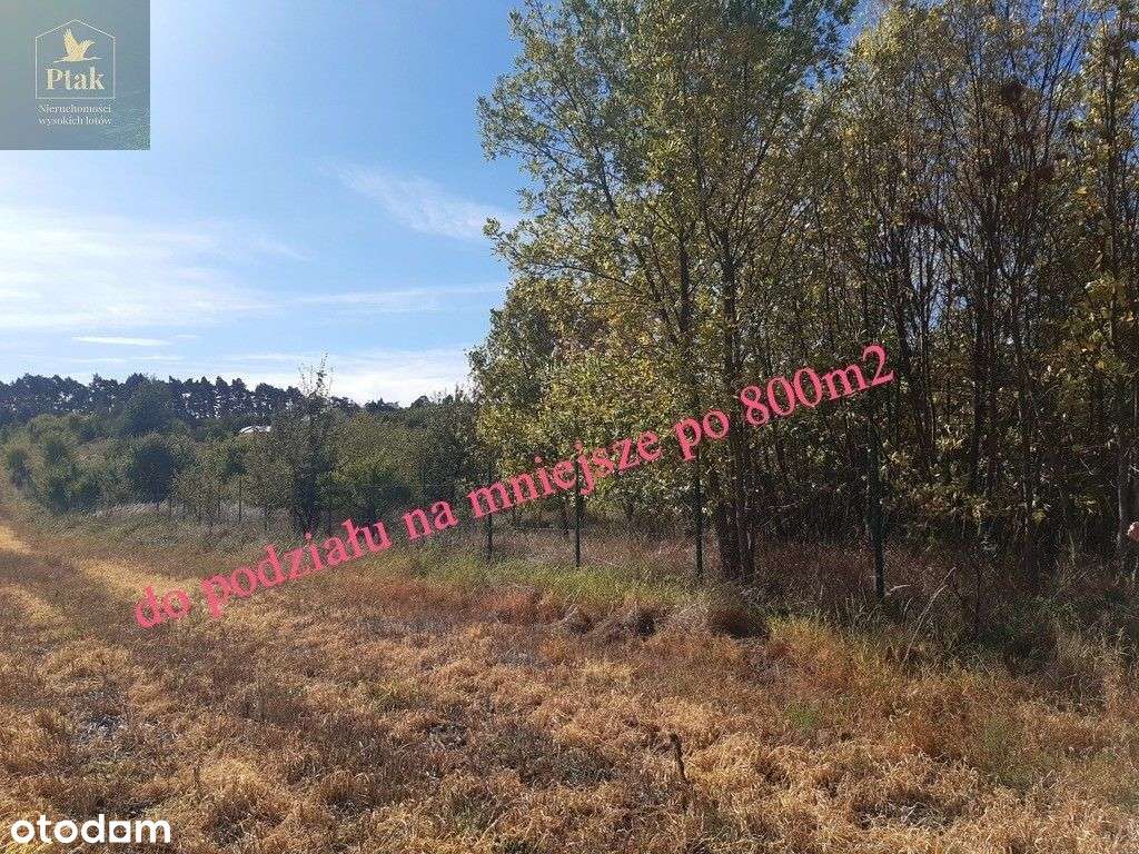 Budowlana Pod ok.6 Budynków/12 Domów! k/Bydgoszczy - Pełny obrazek: 5/19