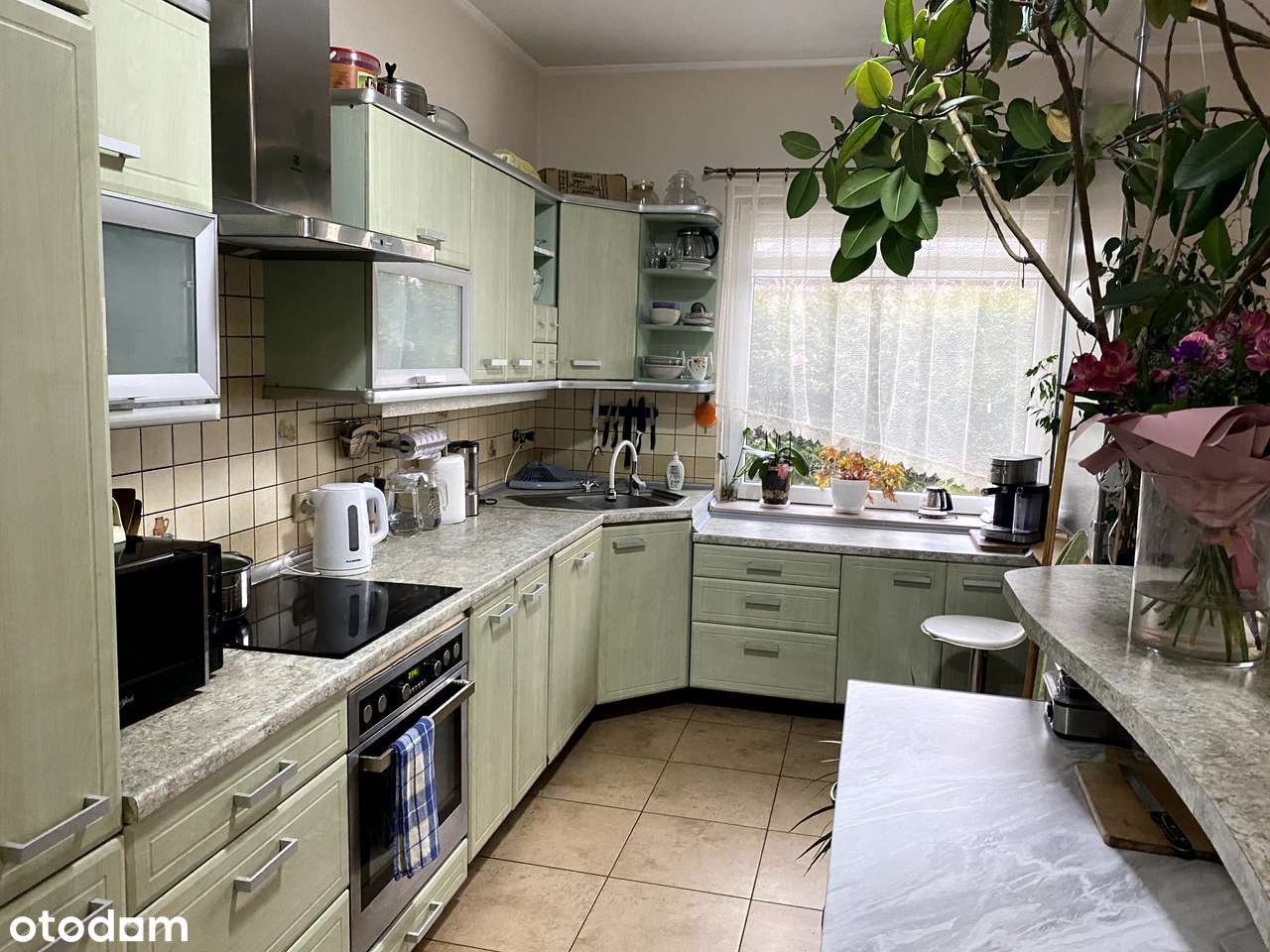 Zacharzew ul. Leśna-13