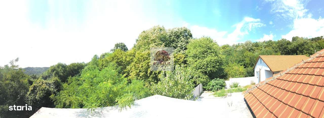 Refugiul la marginea pădurii in Orșova, pe malul Dunării-17