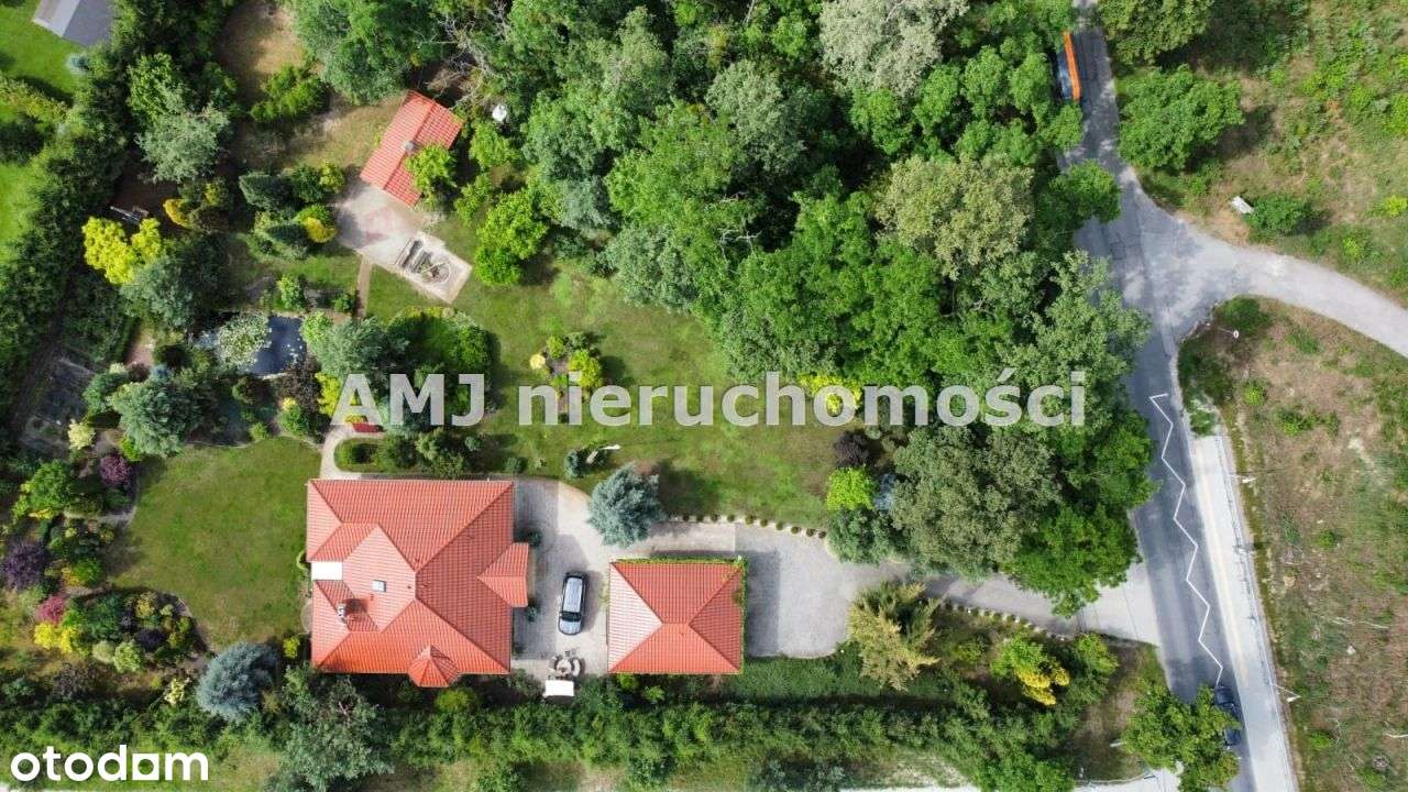 Działka w otulinie lasu - Pełny obrazek: 3/3