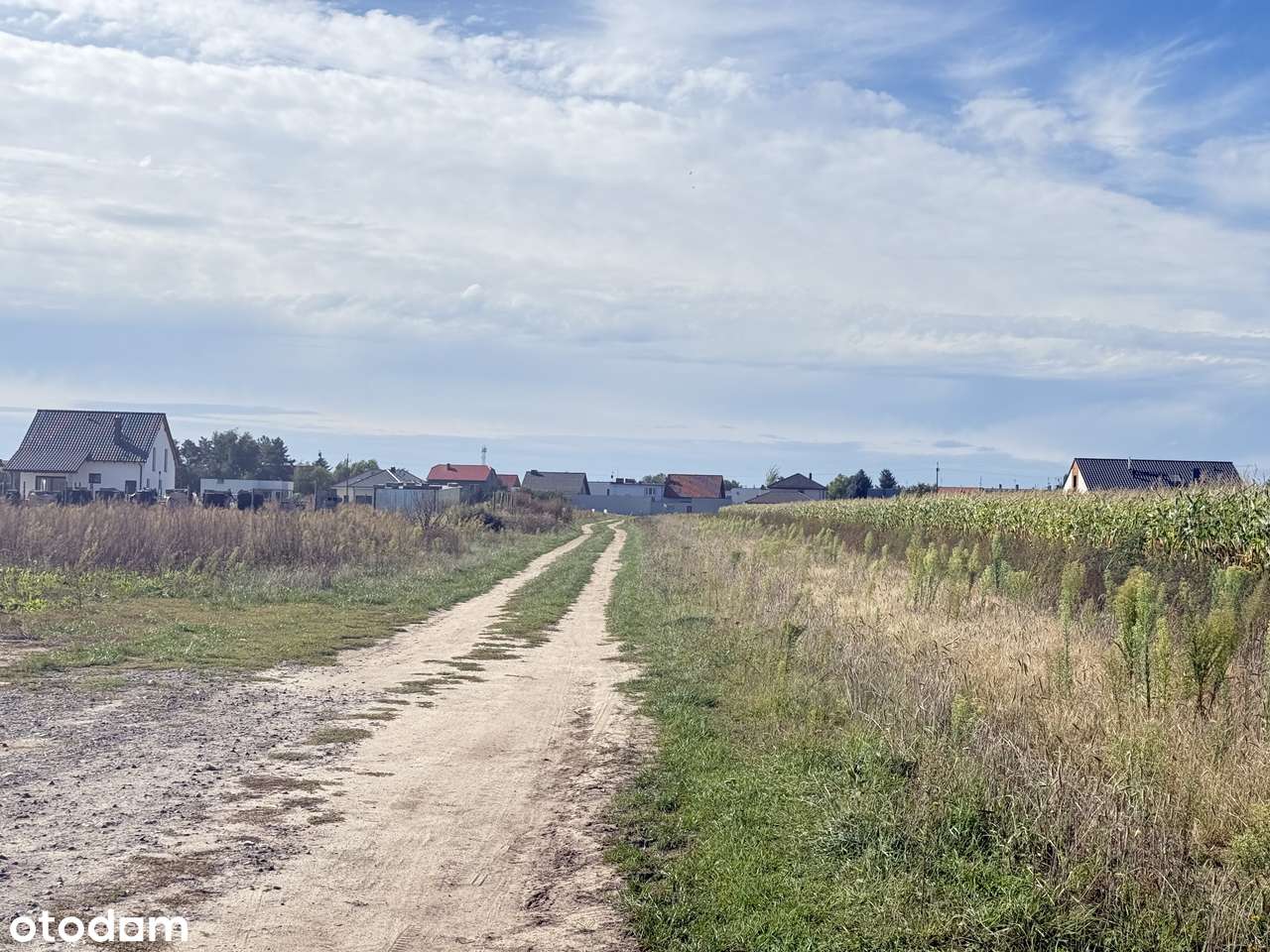 Ostatnia 688 m² Działka na Nowym Os. Blisko Zabudowań - Święciechowa-2