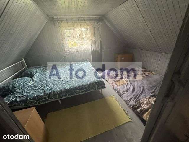 Rekreacja,10 Km Od Minska Mazowieckiego W Lesie-14