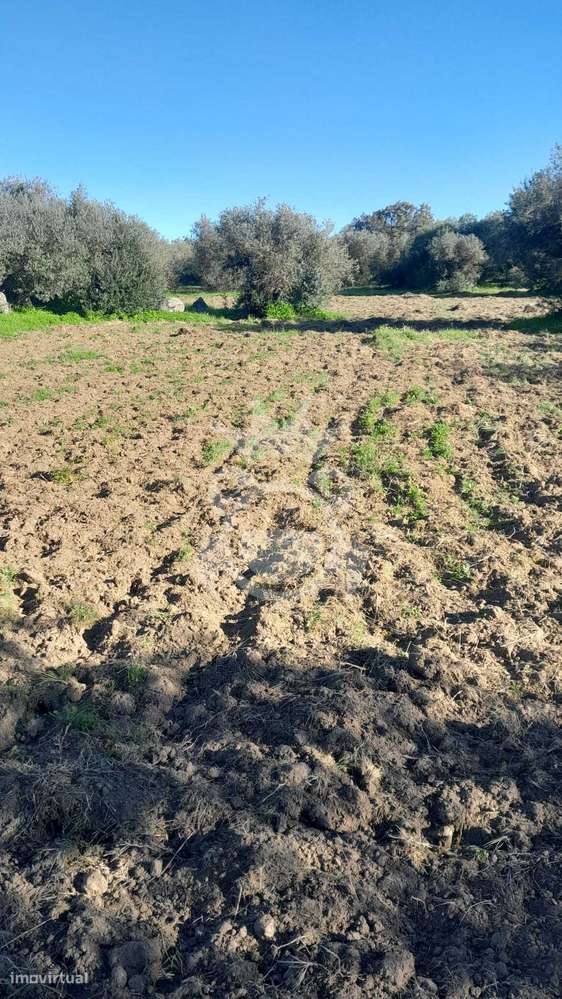 Terreno Rústico - Corval - Grande imagem: 3/4