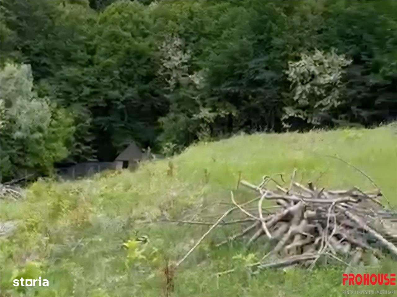 Valea Budului - Teren intravilan. Lac. Padure - Imagine principală: 4/19