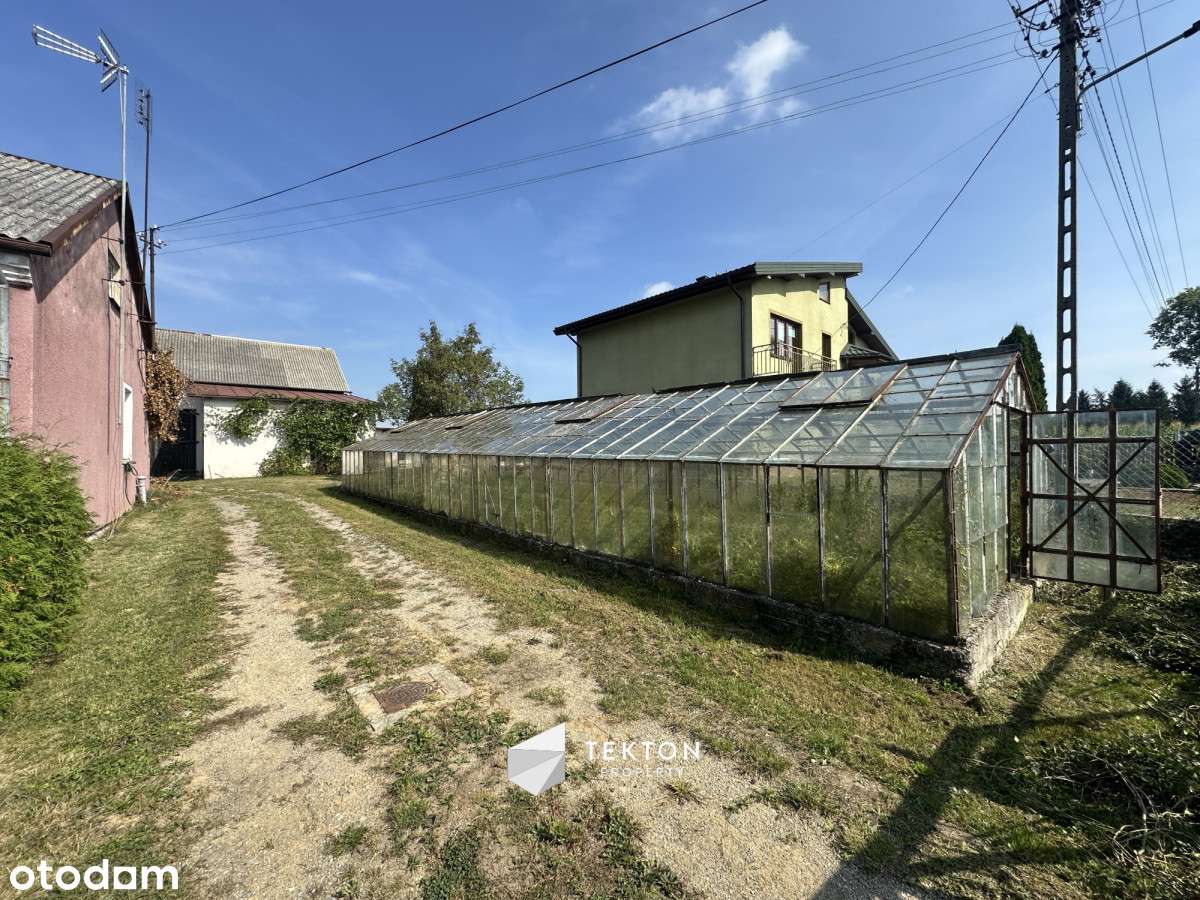 Dom z dużą działką i budynkami gospodarczymi - Pełny obrazek: 5/9
