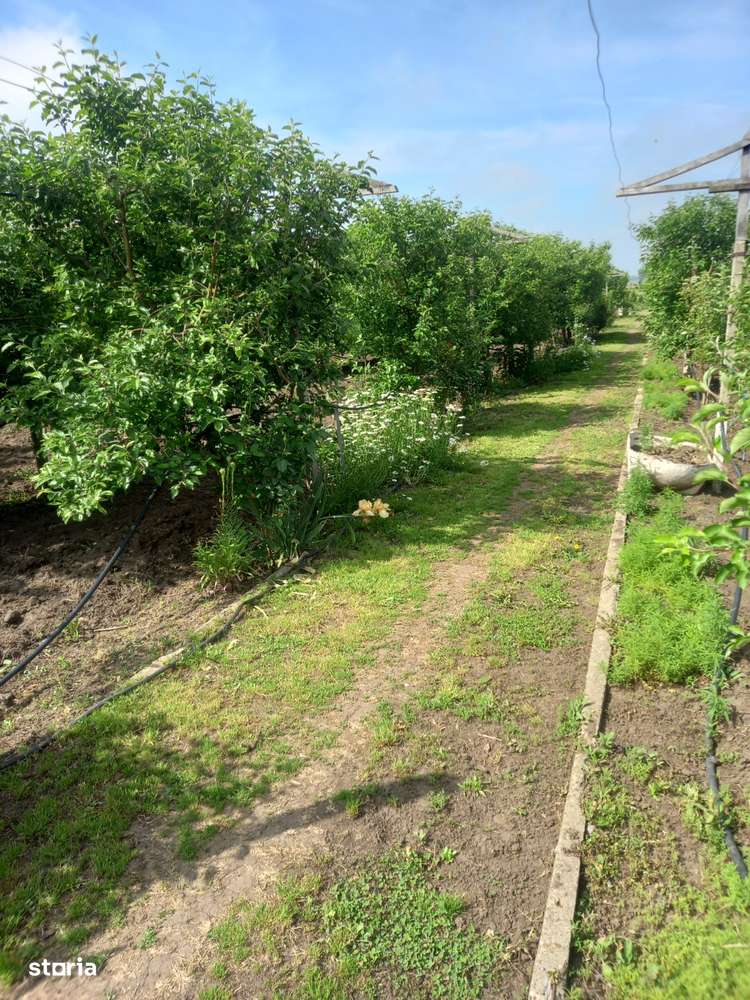 Casa baraneasca + 9300mp teren (livada) zona sat Ziduri jud. Buzau-8