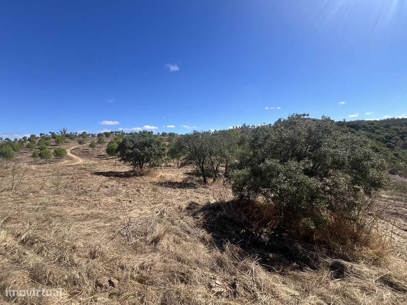 Terreno com 48ha de Natureza com Ruína de 53 m² – Ideal Projeto Rural-16