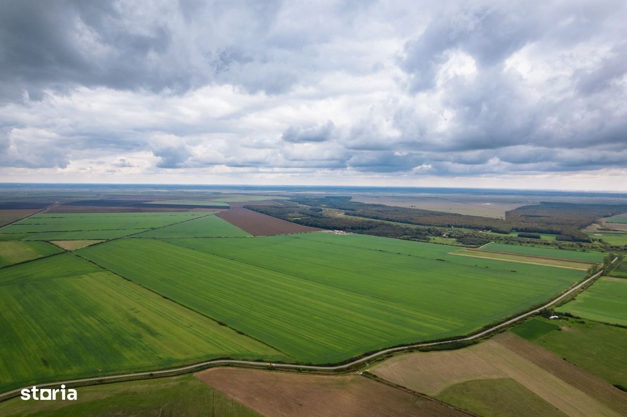 Teren arabil de 1080 hectare în Tulcea