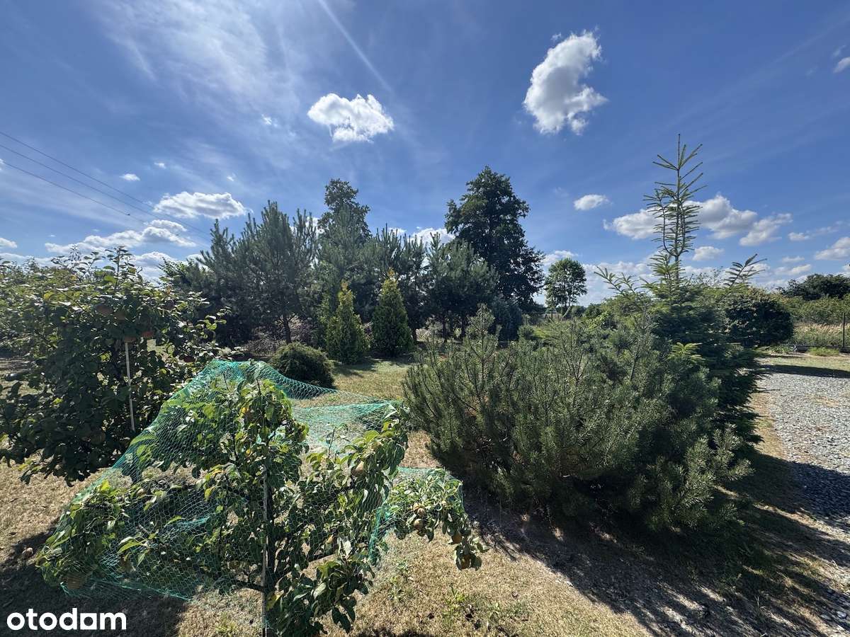 Kępno, ul. Sportowa - działka budowlana z prądem-8