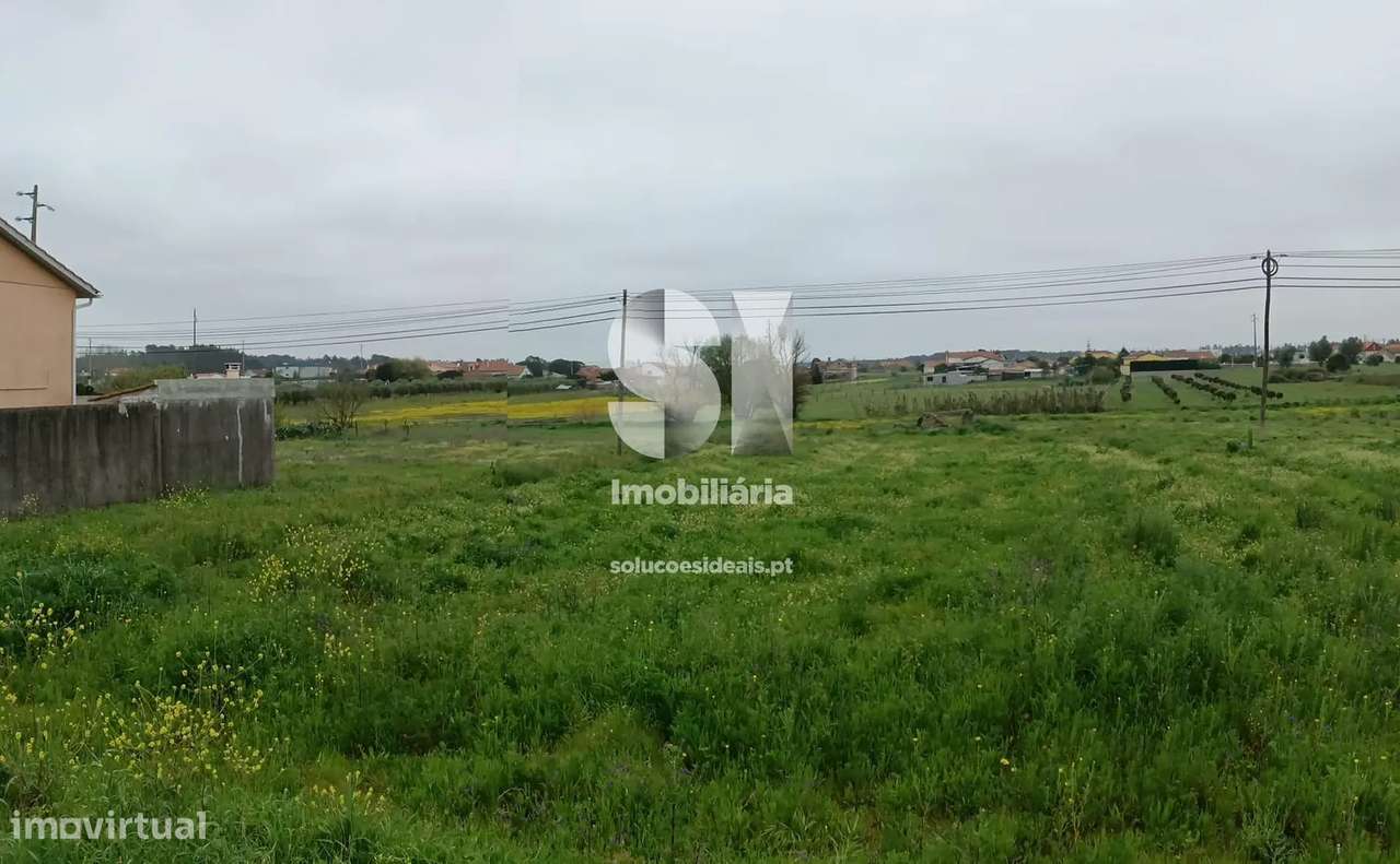 Terreno | Carvide - Grande imagem: 4/11