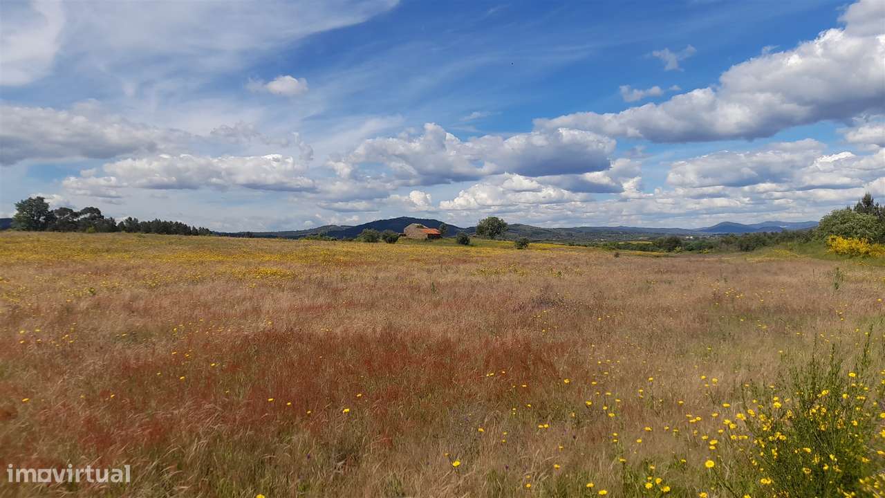 Herdade T0 Venda em Enxames,Fundão-5