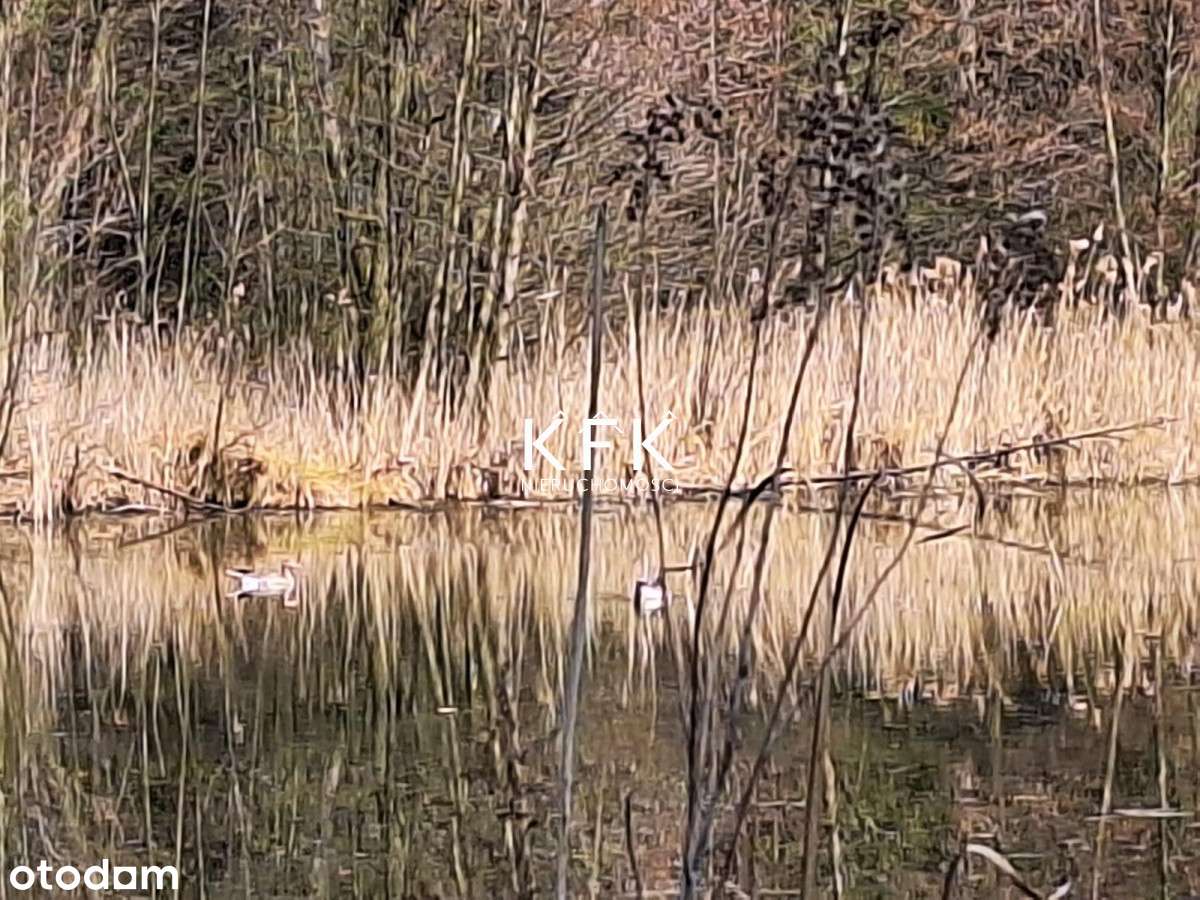 Działka nad jeziorem z gotowym projektem domków! - Pełny obrazek: 4/5