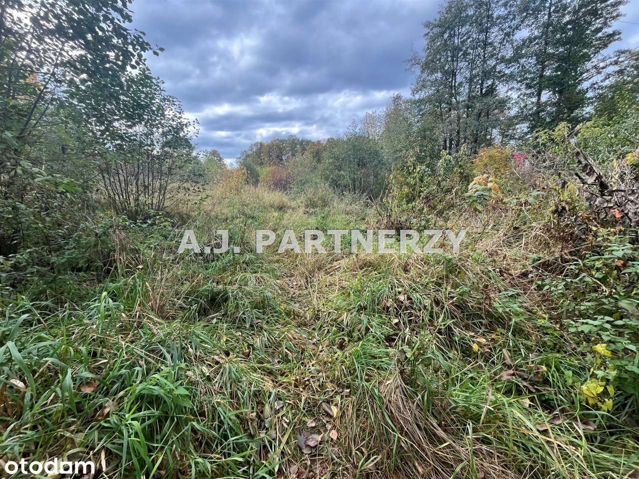 Działka budowlana w Rożnowej/Wieliczka-5