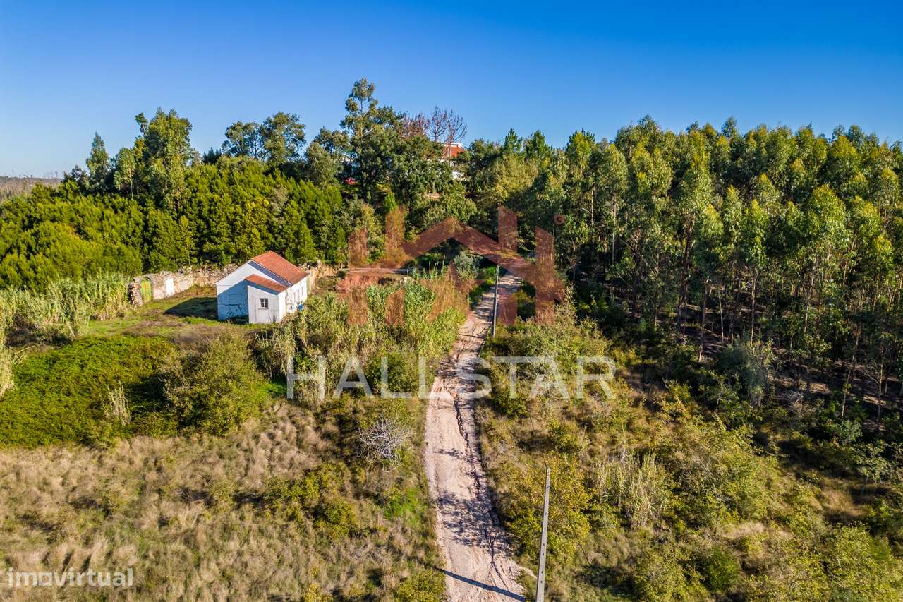 Quinta T3 em Remodelação / Terreno com 9.323m2 / Boa Vista-22