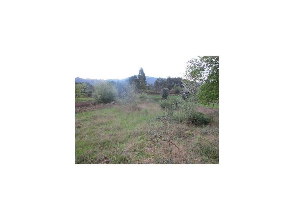 Terreno com 3.000m2 - Grande imagem: 3/3