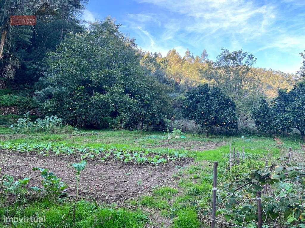 Lagar em Coimbra - Torres do Mondego (Coimbra) Portugal-18