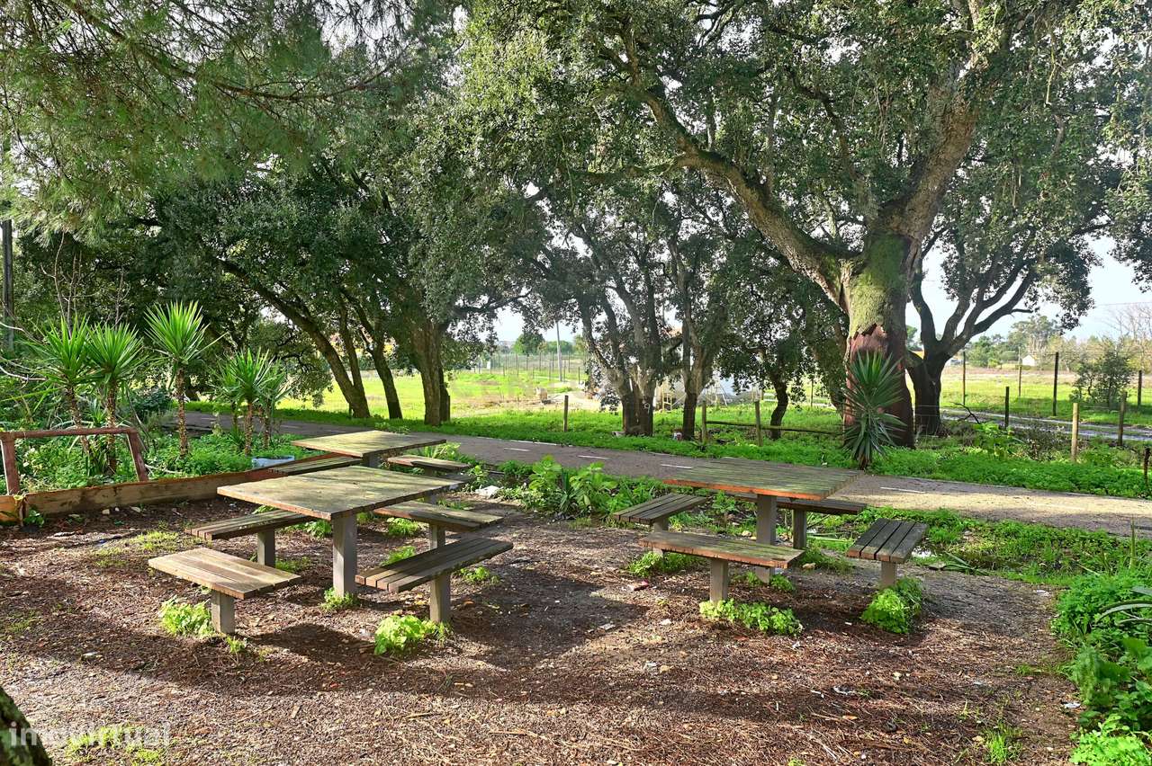 Apartamento Renovado T2 em Pinhal Novo-23