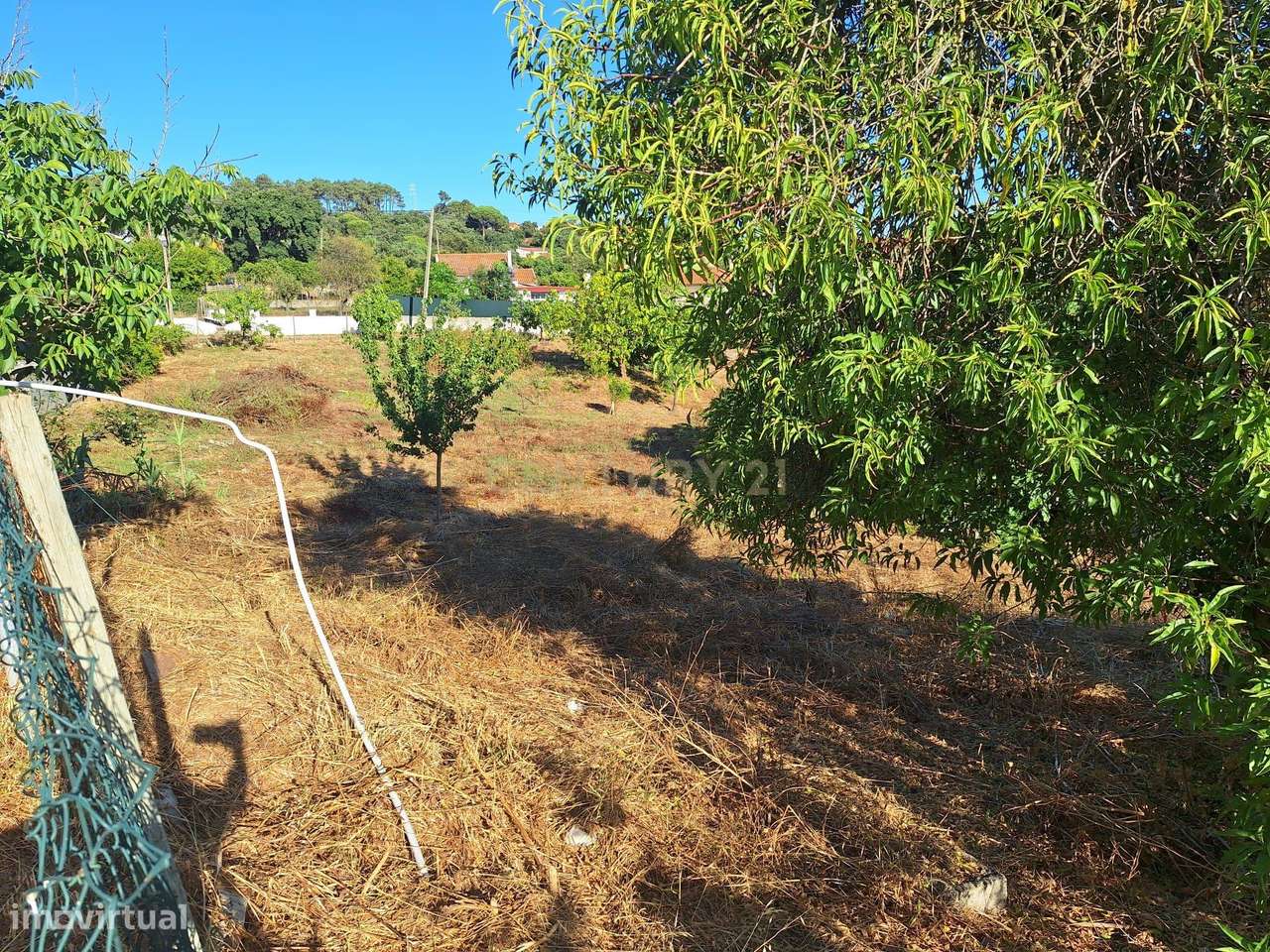 Moradia T3 com 99 m² e terreno de 4.179 m² em Covas de Coina-24