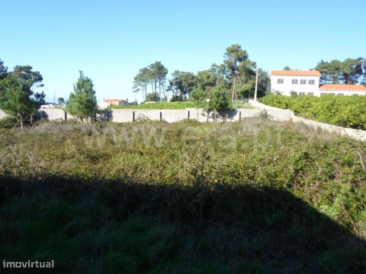 IMOVEL DE BANCO - Grande imagem: 5/9