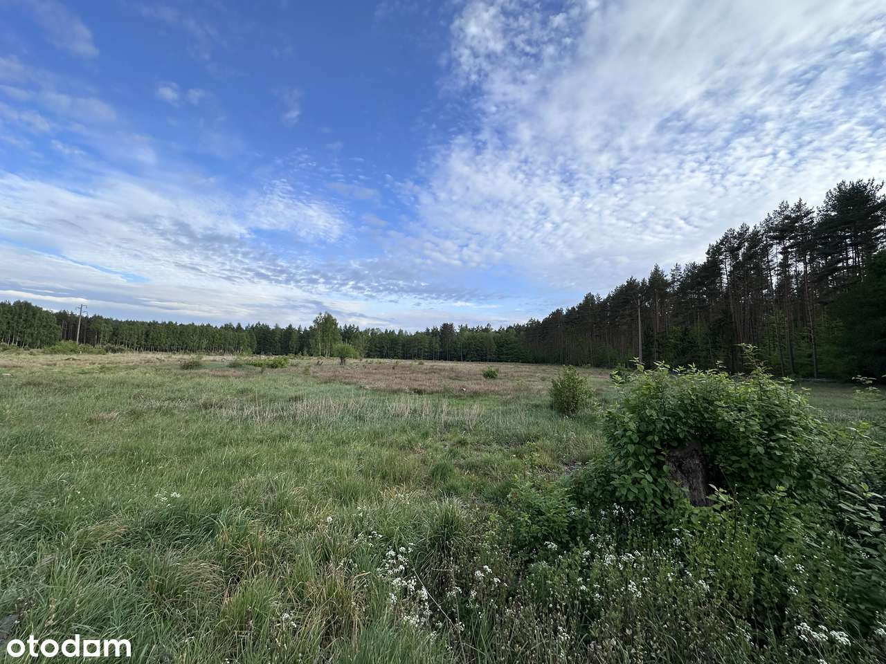 Działka budowlana 1377 m.kw Stawno gmina Goleniów-0